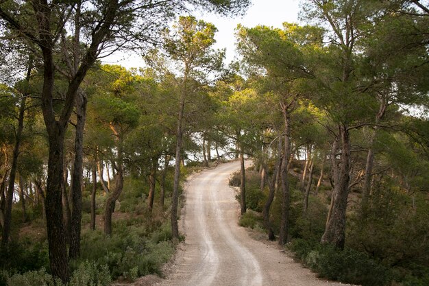 Views of the island of Ibiza from the Sa Talaia mountain in Sant Josep