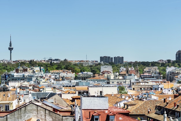 Views of the rooftops the Retiro Park