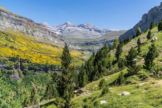 오르데사와 몬테 페르디도 국립공원 아라곤 우에스카 스페인(Aragon Huesca Spain)의 배경에 있는 소아소(Soaso) 계단과 말꼬리 폭포의 전망