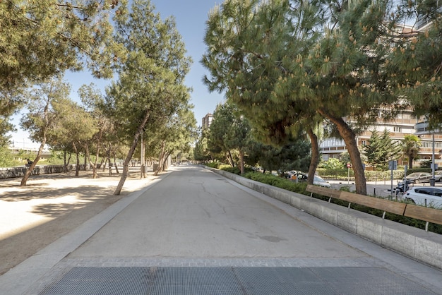 Views of an urban park with trees