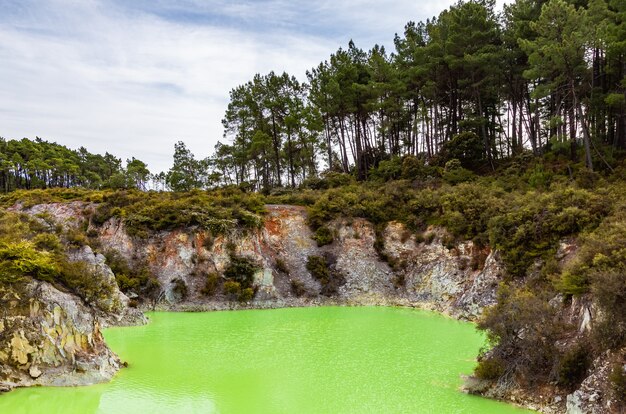 Viste del parco termale wai-o-tapu