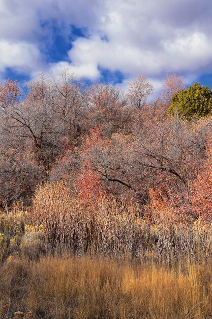 Photo views of wasatch front rocky mountains oquirrh mountains yellow fork rose canyon in salt lake utah