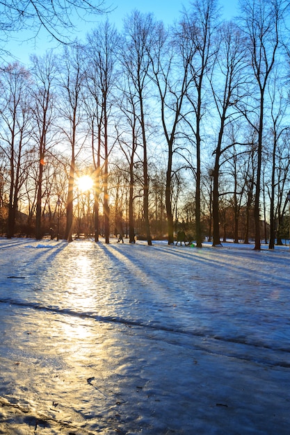 Vigelandpark de winter Oslo Noorwegen