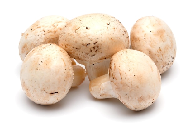 Vijf champignons van champignons op een lichte achtergrond