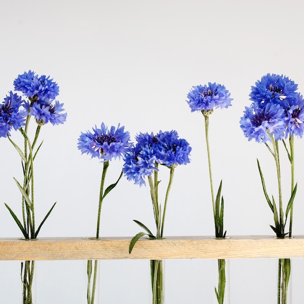 Foto vijf mooie blauwe korenbloemen in een houten frame over grijze eenvoudige bloemdecoratie