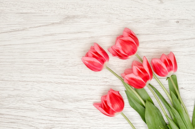 Vijf roze tulpen op een lichte houten achtergrond