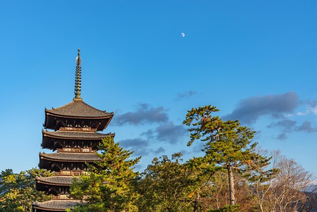 Vijf verdiepingen tellende pagode in de Kofukuji boeddhistische tempel