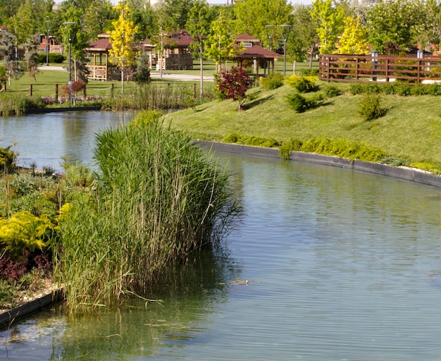 Vijver en prieel in de formele tuin