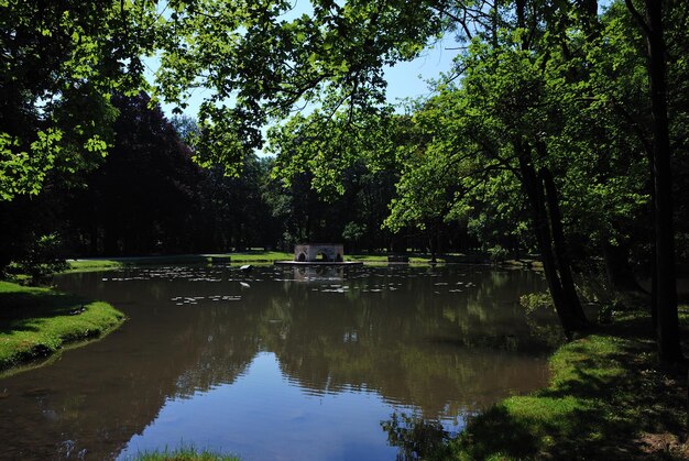 Vijver in een kasteel met veel oude bomen in de zomer