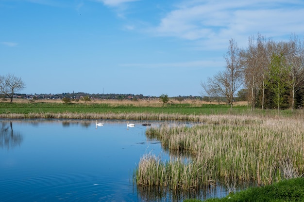 Vijver op Deens eiland