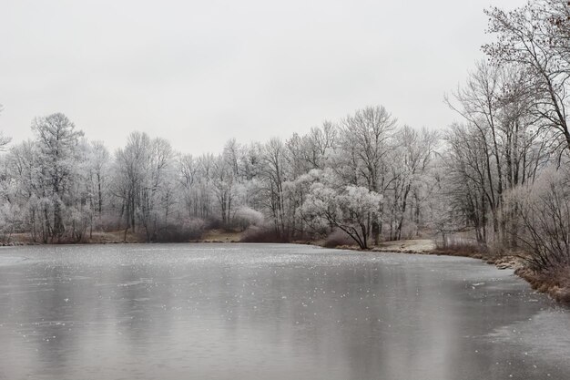 Vijvers in het Alexanderpark in de sneeuw