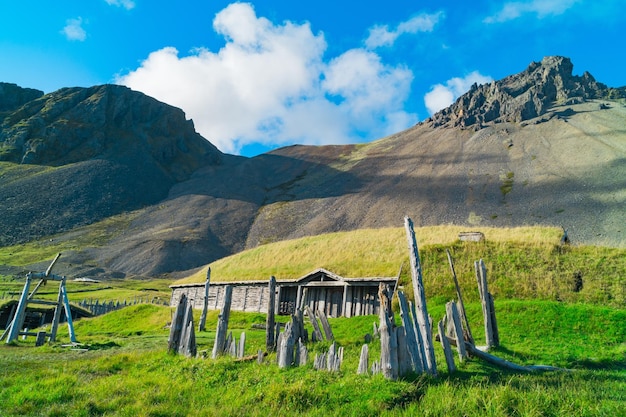 Viking village