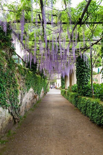 Vila cimbrone a ravello italia