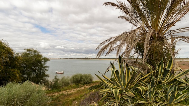 Foto vila real de santo antonio-strand in portugal