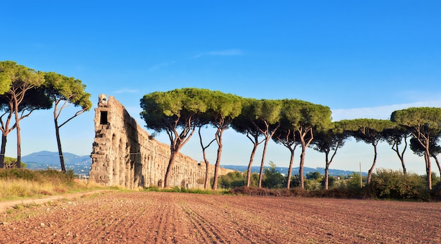 Villa Quintili: ruins of the aqueduct in Rome, Italy.