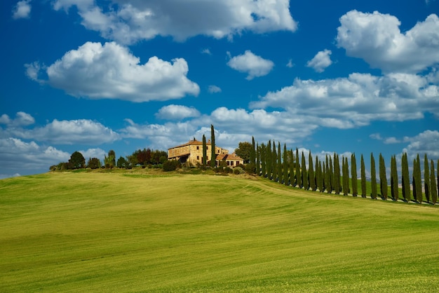 Foto villa in toscana con strada dei cipressi e cielo blu idilliaco paesaggio stagionale natura sfondo vintage hipster