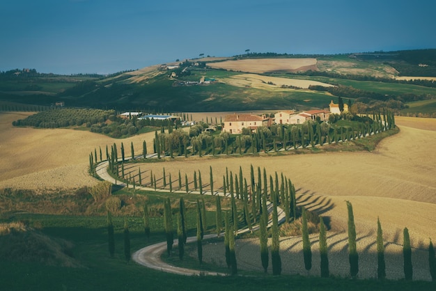 Villa in Tuscany with cypress road idyllic seasonal nature landscape vintage hipster background