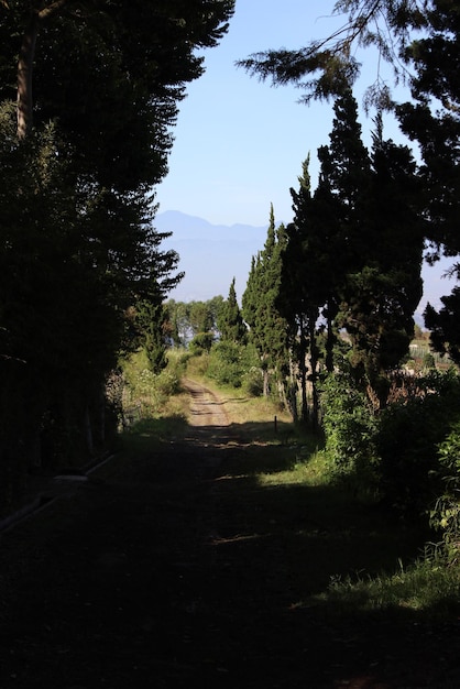 villa walkway on the mountainside