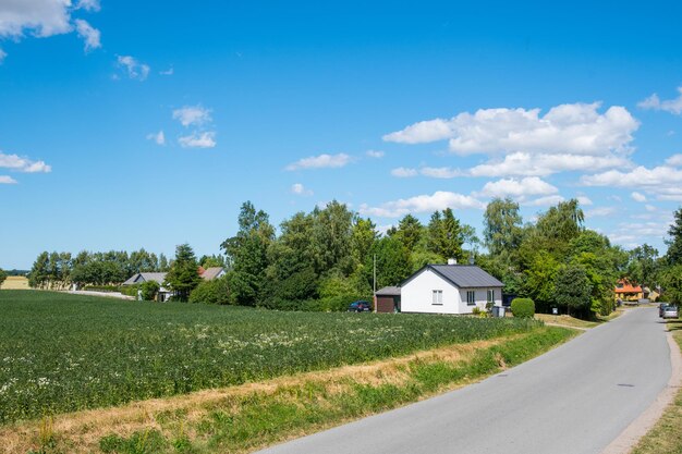 Village of alsted on the danish countryside