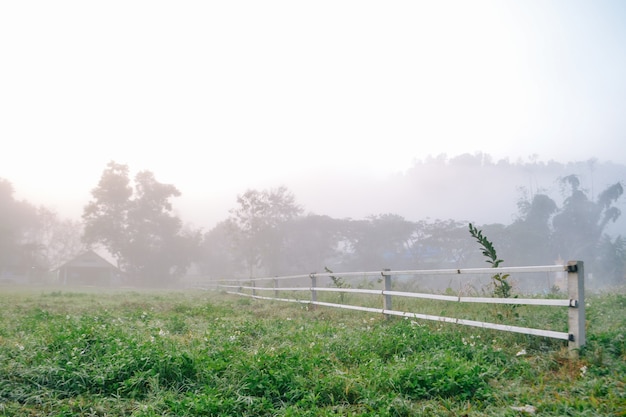 写真 山と霧に囲まれた村