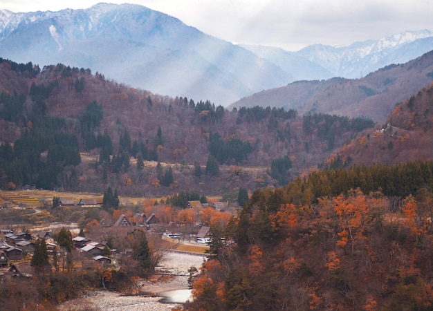 Village on autumn forest