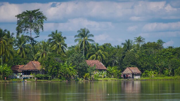 Foto un villaggio sulle rive del rio delle amazzoni