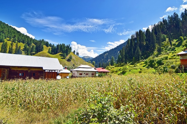 Village in Beautiful Valley