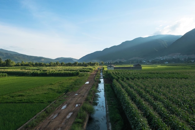 Village and fields in Shaxi Yunnan China