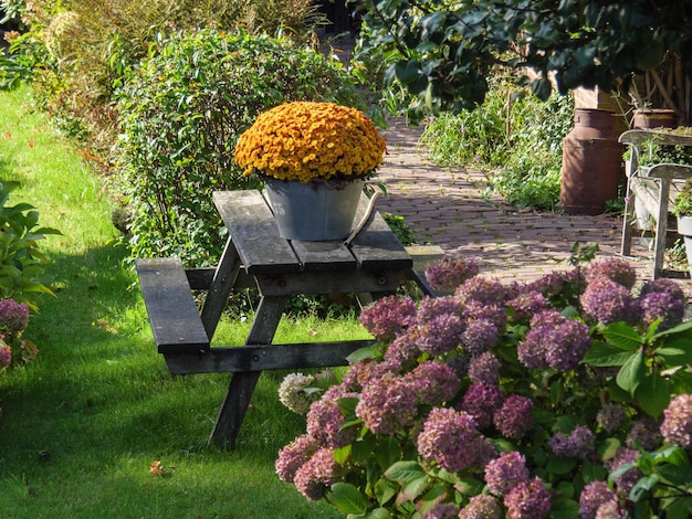 the village of giethoorn