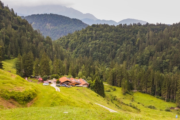 Village in green valley next to a forest