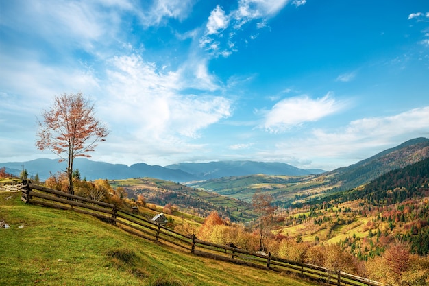 Village under the hills sheltered by autumn forests in the light of the bright sun in good weather