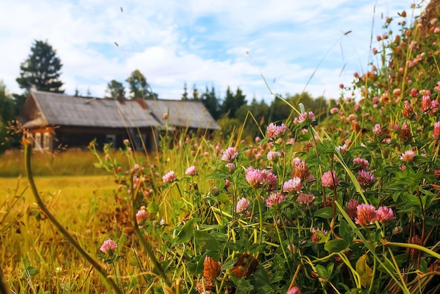 Village house in a field