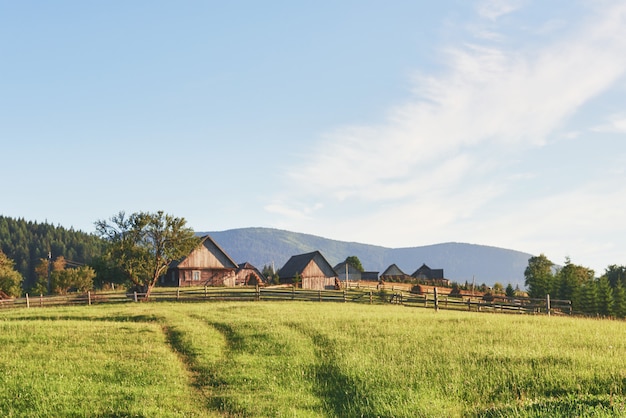 Village houses on hills with green meadows in summer day. house of shepherds in mountains in carpathian