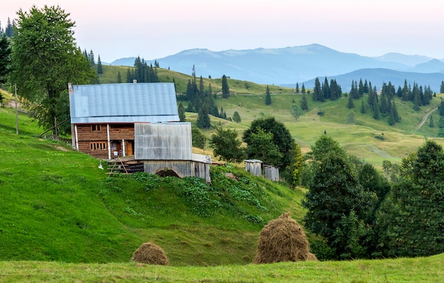 Деревенские дома на холмах с зелеными лугами в летний день. дом пастухов в горах в карпатах