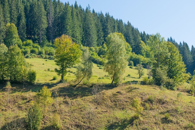 Village landscape with fence on green hills