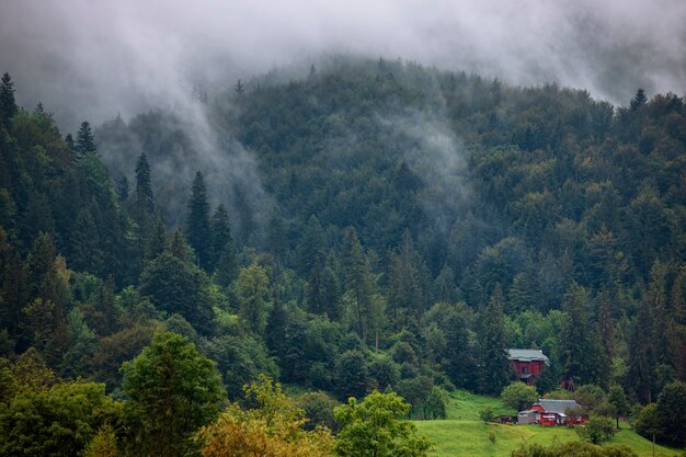 Village in the mountains, against the background of green slopes and forests, sky with storm clouds