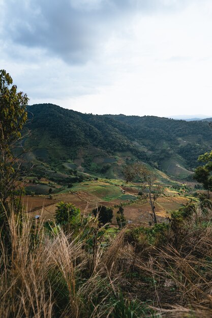 Village in the mountains in asia  and agricultural area