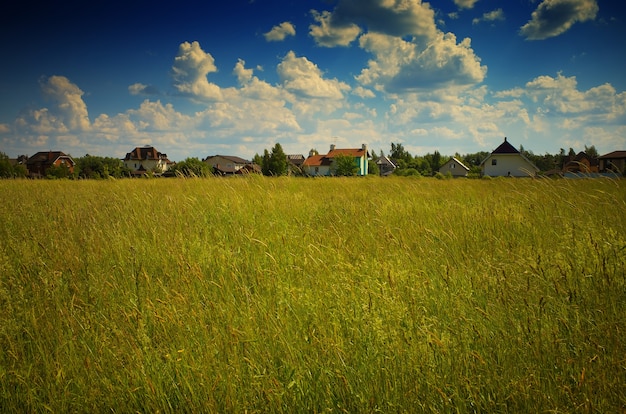 Village near the summer meadow landscape