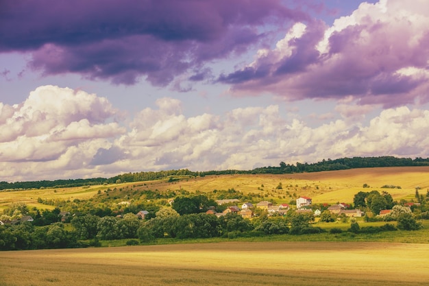 Village surrounded by fields on a summer sunny day