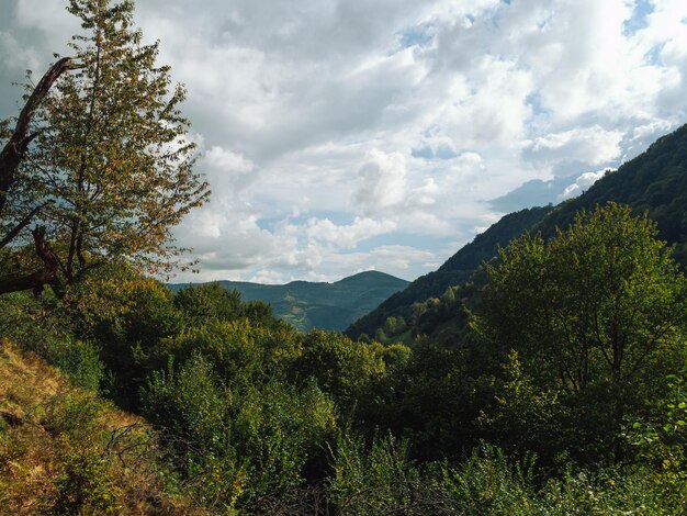 Village in Transcarpathia region scenic Carpathian mountains view Ukraine Europe Autumn countryside landscape Colorful fall trees sunny day Eco Local tourism hiking Recreational activities Vacation