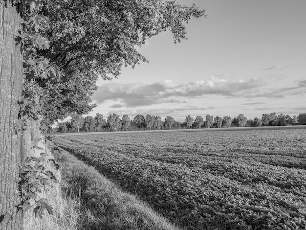 Photo the village of weseke in westphalia