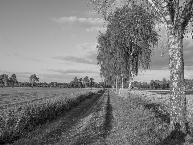 the village of Weseke in westphalia