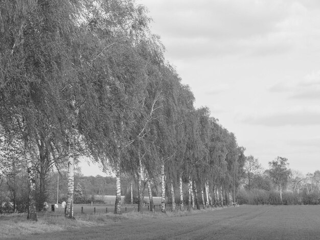 the village of Weseke in westphalia