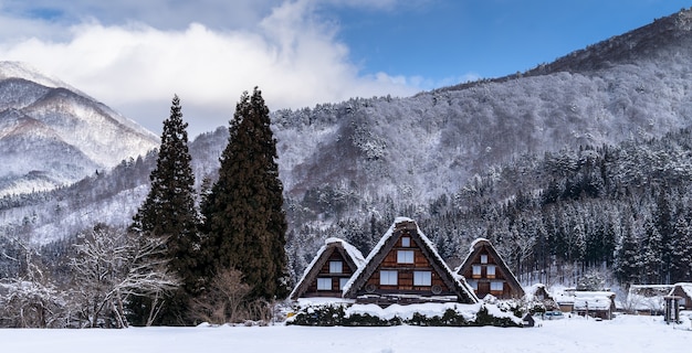 Village in winter with snow