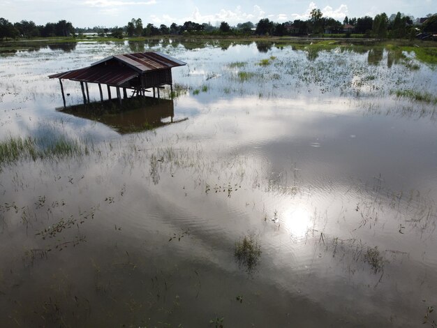 Villagers' houses in rural Thailand were flooded.