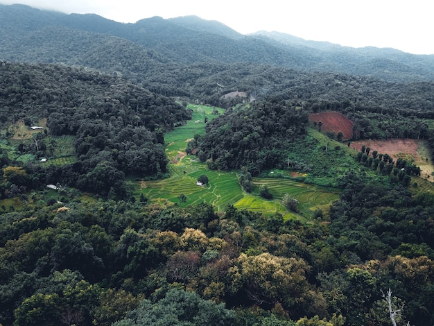 夏の山の村や畑