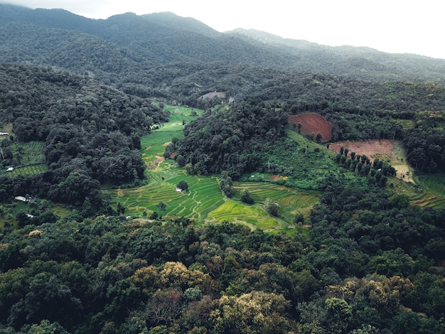 夏の山の村や畑