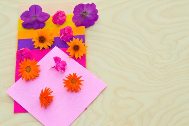 Vilten stukken van verschillende kleuren en bloemen Het palet van de natuur