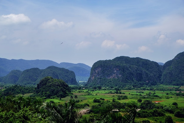 Vinales Valley in Cuba, nationaal park in de provincie Pinar del Rio