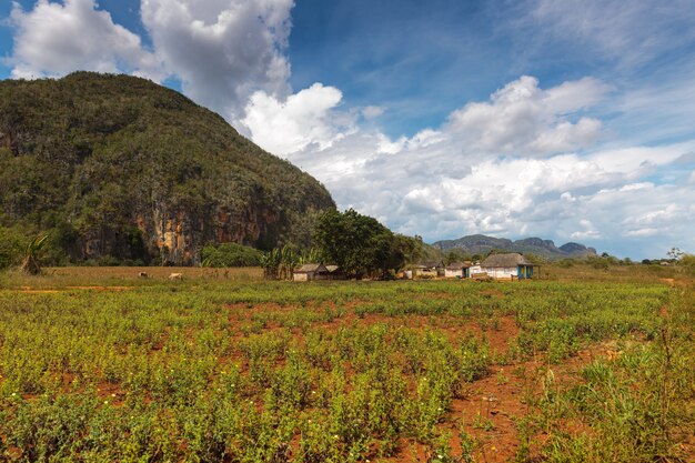 Vinales Valley